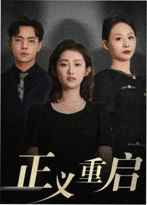 剧集无声证词海报